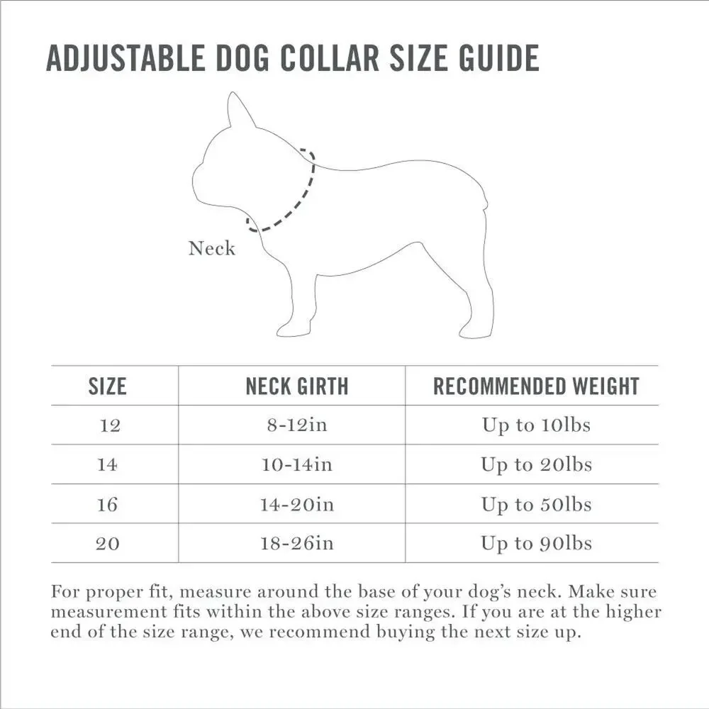 Martha Stewart Gray and Blue Adjustable Nylon Buckle Dog Collar Size 14
